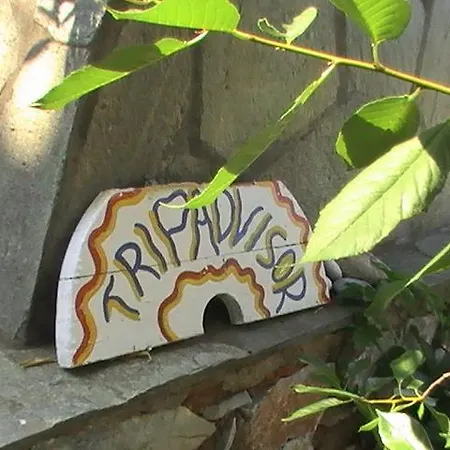 Manos & Daire Skopelos