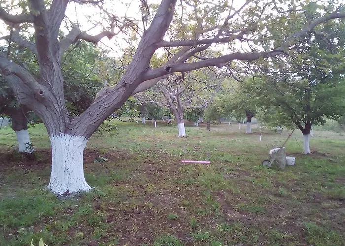 Apartment Manos Studios & Apartments Skopelos Town